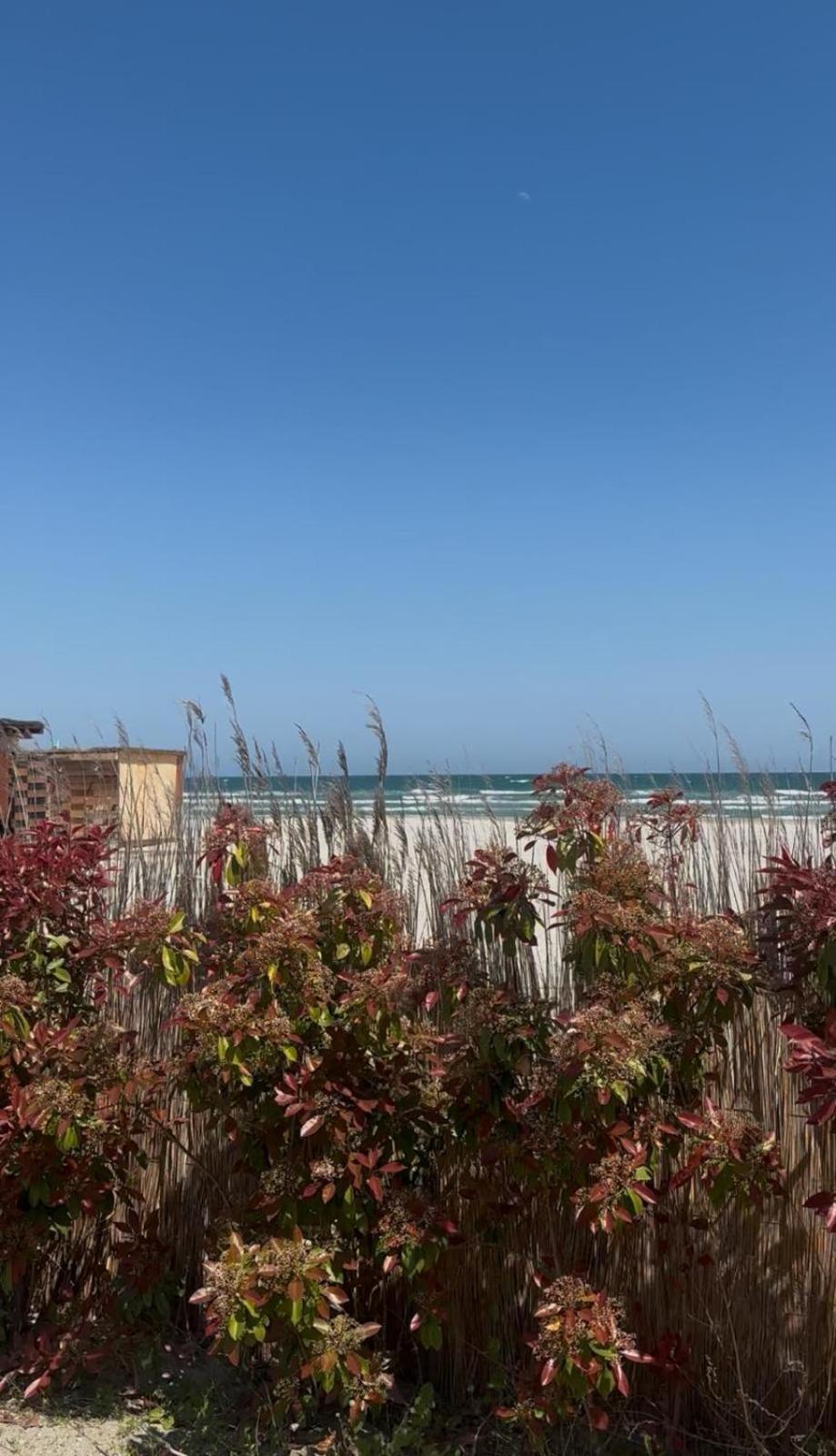 Sea View Luxury Apartament Năvodari Eksteriør bilde